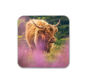 To buy a print or any of the below please click on the images